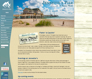 Web Design, Development, and Content Management