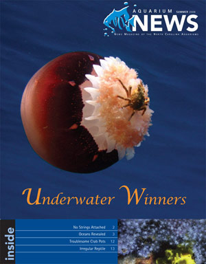 North Carolina Aquariums Magazine