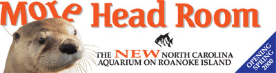 Bumper Sticker