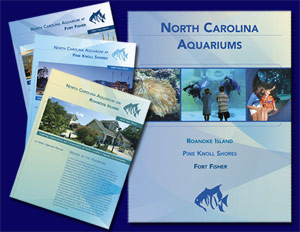 Individual and Division Annual Reports